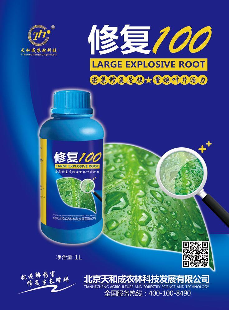修复100