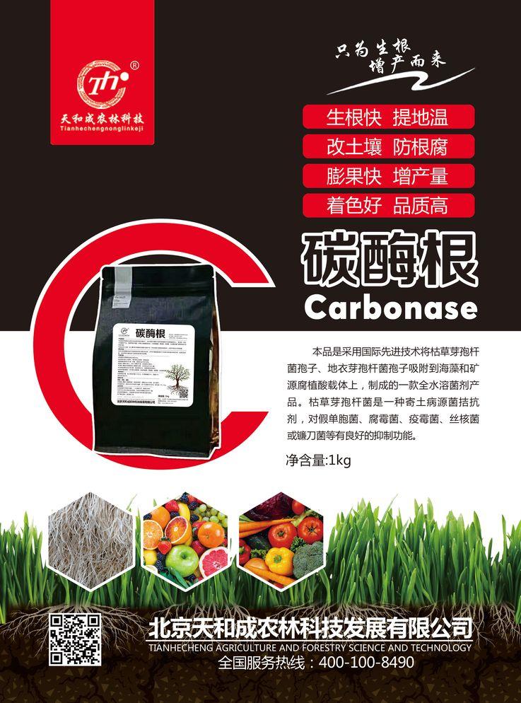 碳酶根